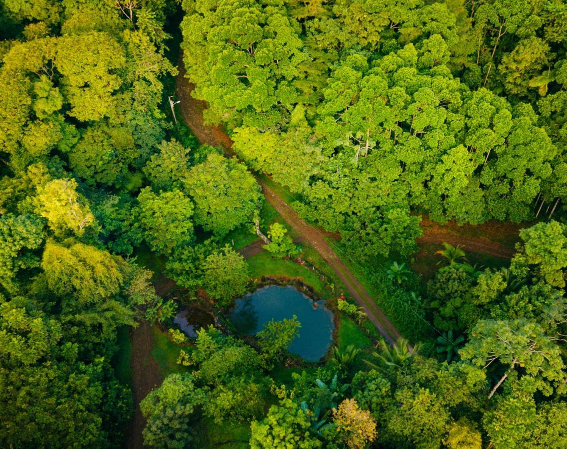 Mirador Prendas Sarapiquí Zewnętrze zdjęcie