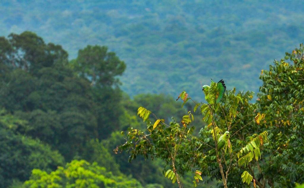 Mirador Prendas Sarapiquí Zewnętrze zdjęcie
