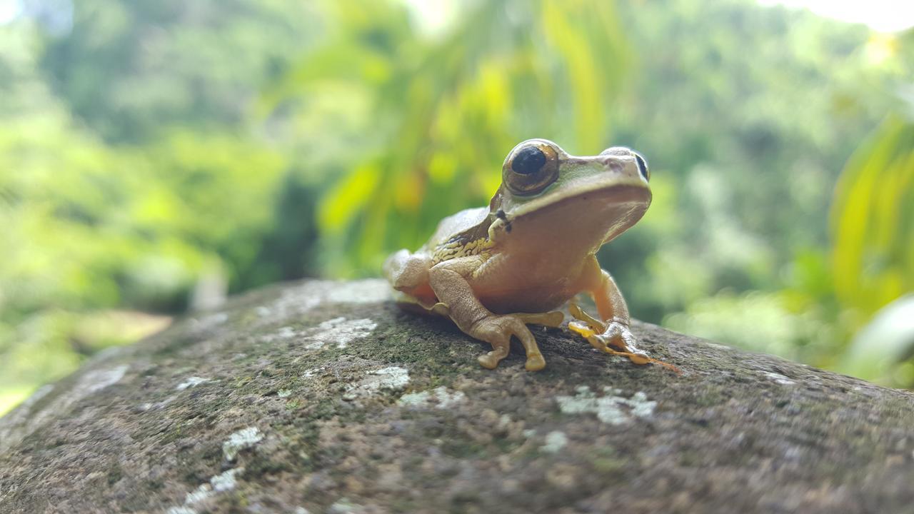 Mirador Prendas Sarapiquí Zewnętrze zdjęcie